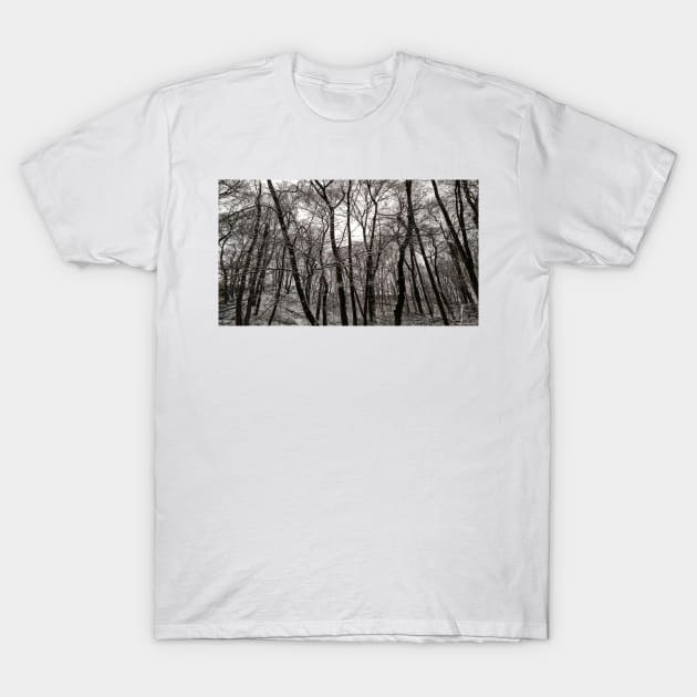 Escarpment and Snow T-Shirt by srosu